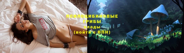 таблы Мегион