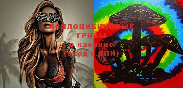 экстази Медногорск