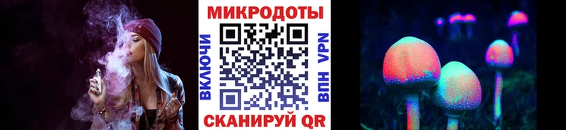 Галлюциногенные грибы Psilocybe  дарнет шоп  Правдинск 