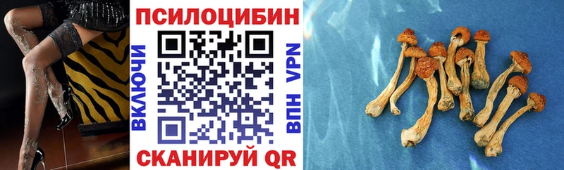 Галлюциногенные грибы Cubensis Правдинск